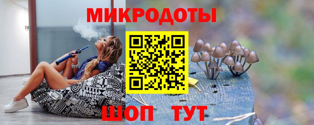 Галлюциногенные грибы Psilocybe Псков